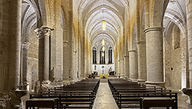 Église Abbaye d’Ambronay